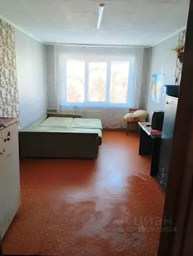 Комната Алтайский край, Барнаул ул. Энтузиастов, 36 (18.0 м)