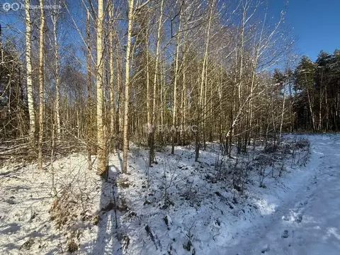 Участок в Владимирская область, Судогодский муниципальный округ, ...