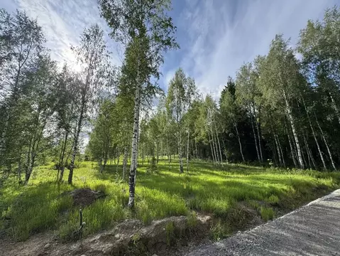 Участок в Ленинградская область, Всеволожский район, Куйвозовское ...