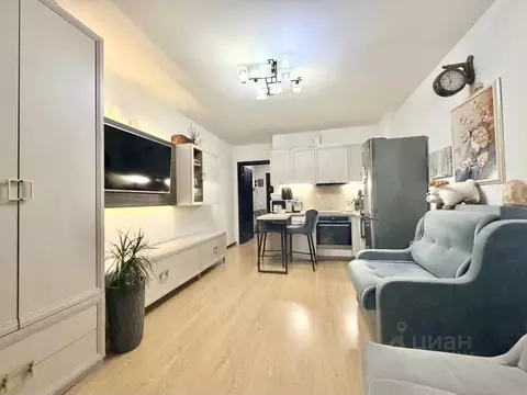 Студия Санкт-Петербург просп. Энергетиков, 9к3 (25.0 м)