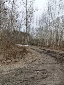 Участок в Нижегородская область, Нижний Новгород пос. Гнилицы, ул. ...