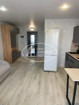 Студия Пермский край, Чернушка ул. Францева, 3 (27.0 м)