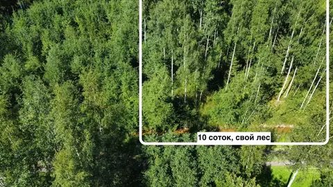 Участок в Ленинградская область, Лужский район, Мшинское с/пос, ...