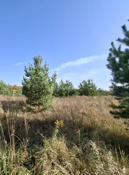 Участок в Владимирская область, Владимир д. Уварово,  (6.25 сот.)