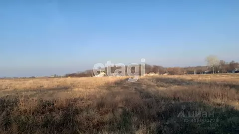 Участок в Белгородская область, Корочанский район, Новослободское ...