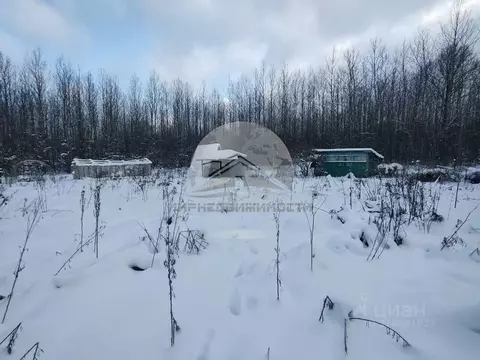 Участок в Новгородская область, Новгородский район, Ермолинское с/пос, ...