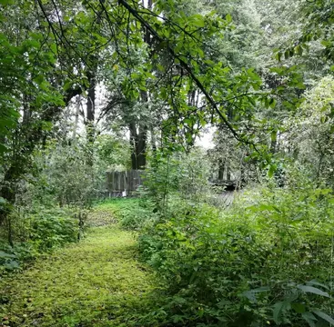 Участок в Московская область, Раменский муниципальный округ, Удельная ...