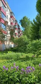 1-к кв. Мордовия, Саранск ул. Косарева, 82 (30.6 м)