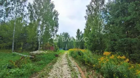 Участок в Владимирская область, Владимир пер. Лукинский, 18 (10.0 ...