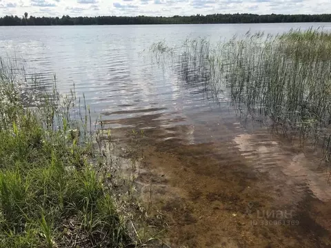 Участок в Ленинградская область, Лужский район, Володарское с/пос, д. ...