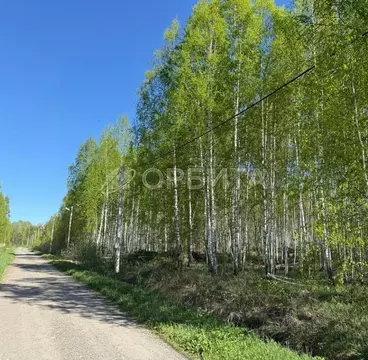 Участок в Тюменская область, Нижнетавдинский район, Березка СНТ  (8.0 ...