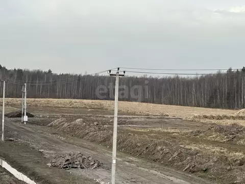 Участок в Ленинградская область, Всеволожский район, Колтушское ...