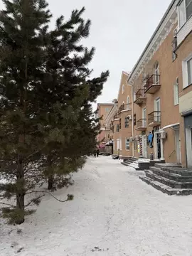 Помещение свободного назначения в Омская область, Омск ул. Ленина, 51 ...