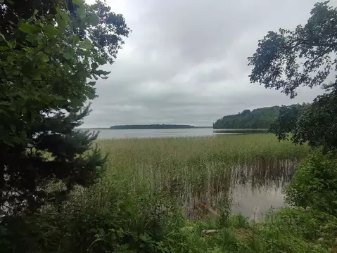 Участок в Ленинградская область, Приозерский район, Плодовское с/пос, ...