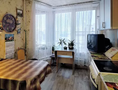 1-к кв. Ярославская область, Ярославль ул. Калинина, 33к2 (37.4 м)