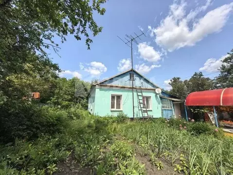 Дом в Воронежская область, Семилукский район, Землянское с/пос, с. ...