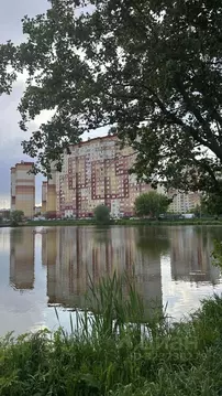 1-к кв. Московская область, Люберцы городской округ, д. Островцы, ...