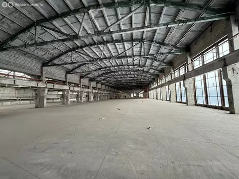 Производственное помещение (12160 м)