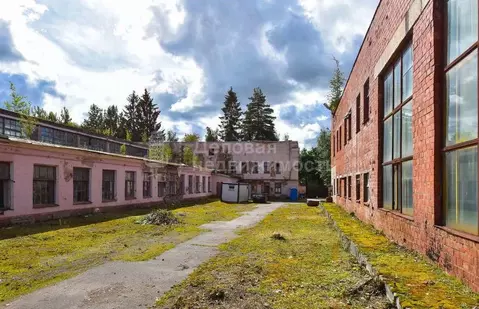 Производственное помещение в Новгородская область, Великий Новгород ...