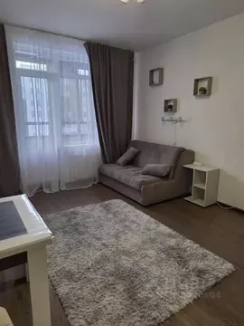 Студия Санкт-Петербург аллея Арцеуловская, 23к1 (25.0 м)