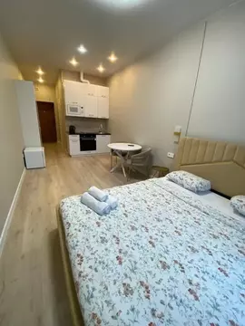 Студия Башкортостан, Уфа ул. Аксакова, 81 (31.0 м)