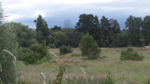 Участок в Московская область, Рузский муниципальный округ, д. ...