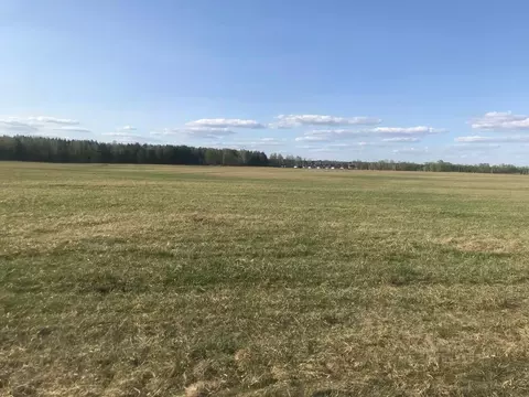 Участок в Алтайский край, Первомайский район, с. Фирсово, Рощино мкр ...