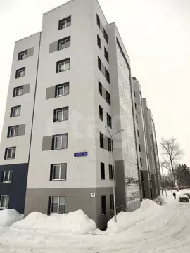1-к кв. Коми, Сыктывдинский район, с. Выльгорт Школьный пер., 15 (21.7 ...