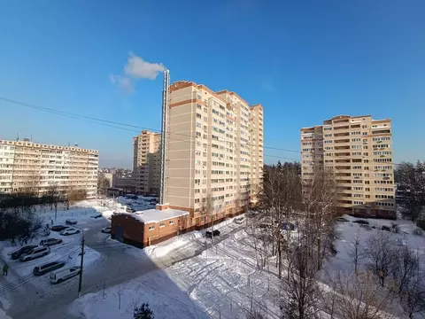 1-к кв. Московская область, Богородский городской округ, пос. Зеленый ...