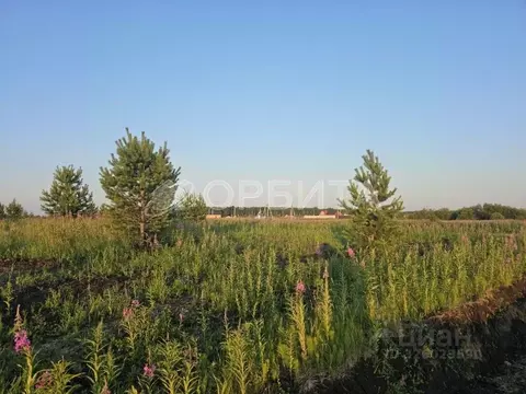 Участок в Тюменская область, Тюменский муниципальный округ, с. ...