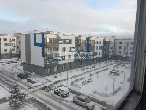 Студия Ленинградская область, Гатчинский муниципальный округ, д. Малое ...