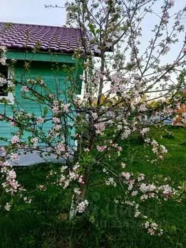 Дом в Тверская область, Зубцовский муниципальный округ, Патриот СНТ  ...
