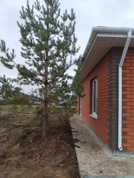 Дом в Нижегородская область, Нижний Новгород с. Чернуха, ул. Новая ...