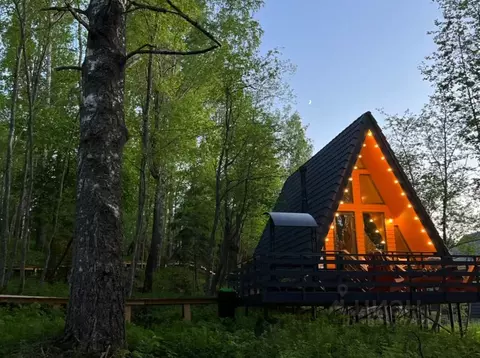 Дом в Ленинградская область, Выборгский район, Каменногорское ...