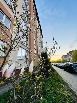 2-к кв. Калининградская область, Калининград ул. Куйбышева, 40 (80.0 ...