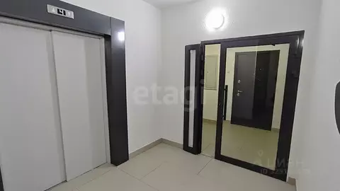 Студия Архангельская область, Архангельск Советская ул., 4 (23.2 м)