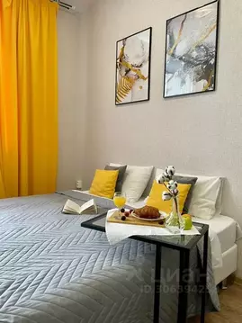 Студия Пермский край, Пермь ул. Куйбышева, 109А (30.0 м)