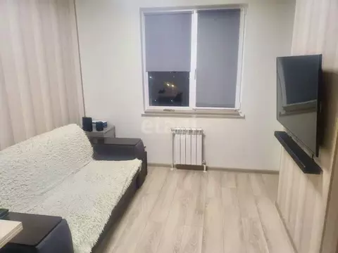 Студия Белгородская область, Белгород ул. Каштановая, 14 (26.8 м)