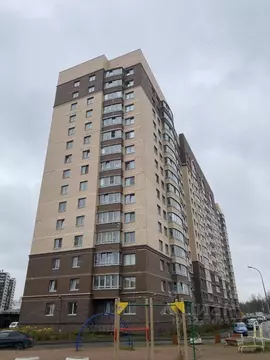 1-к кв. Санкт-Петербург Дальневосточный просп., 10к1 (42.0 м)