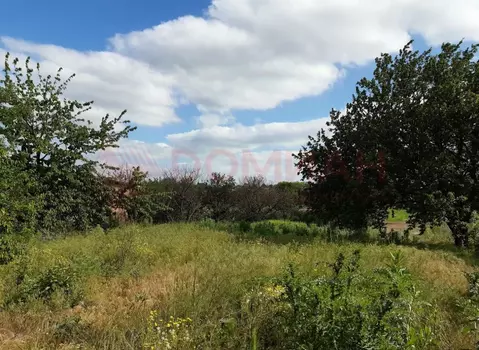 Участок в Ростовская область, Мясниковский район, с. Чалтырь  (8.0 ...