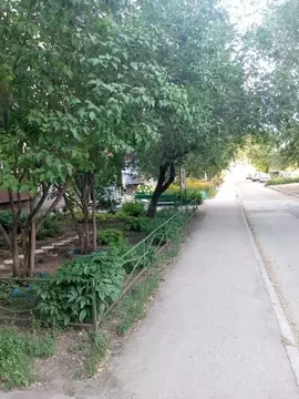 3-к кв. Самарская область, Тольятти Юбилейная ул., 35 (60.0 м)