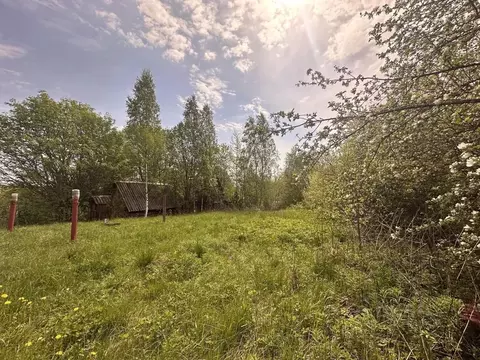 Участок в Ленинградская область, Выборгский район, Полянское с/пос, ...