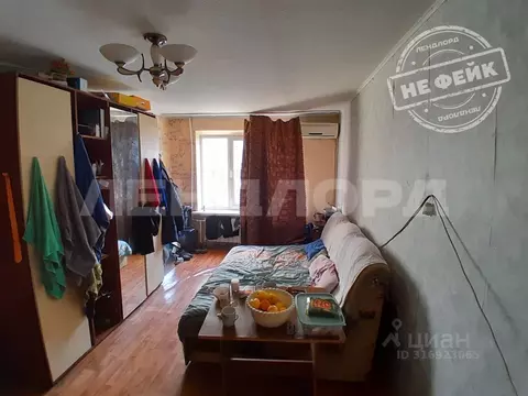 Комната Ростовская область, Ростов-на-Дону Северный мкр, ул. Борко, ...