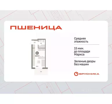 Студия Новосибирская область, Новосибирский район, Краснообск рп, 3-й ...