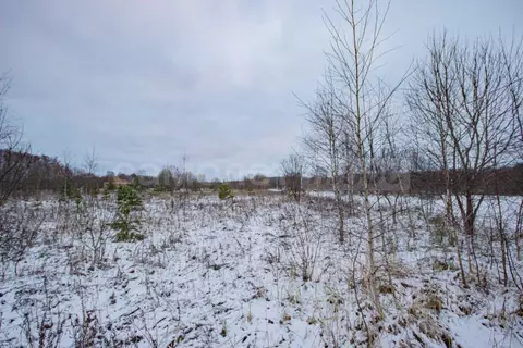 Участок в Калужская область, Жуковский муниципальный округ, с. ...