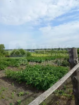 Участок в Тюменская область, Тюменский район, с. Каменка Заречная ул. ...