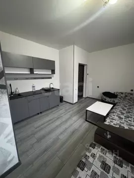 Студия Иркутская область, Иркутск ул. Радищева, 68 (19.8 м)