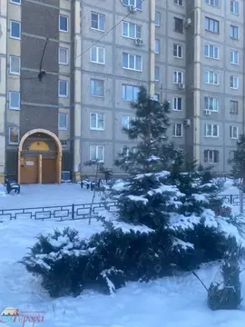 3-к кв. Воронежская область, Воронеж пер. Серафимовича, 14 (67.2 м)