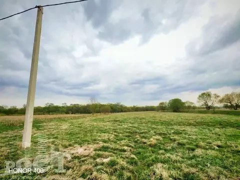 Участок в Приморский край, Артемовский городской округ, с. Ясное ул. ...