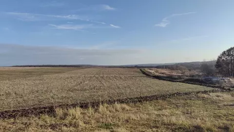 Участок в Московская область, Раменский муниципальный округ, д. ...